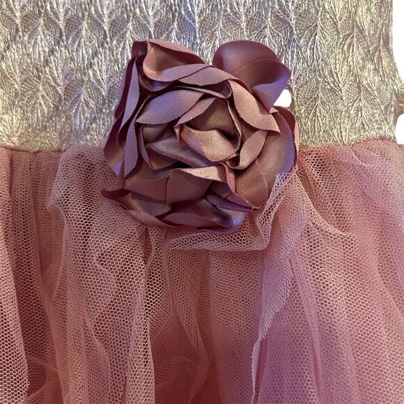 Biscotti Girls 4T Pink Tulle Ruffled Party Dress Sleeveless Knee Length - Picture 4 of 12